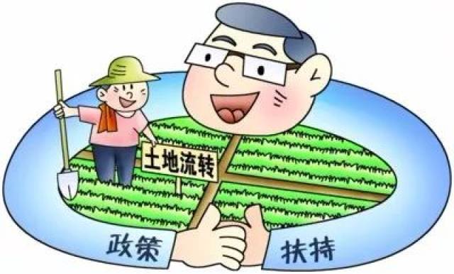 农村土地新政，推动农业现代化与乡村振兴齐头并进